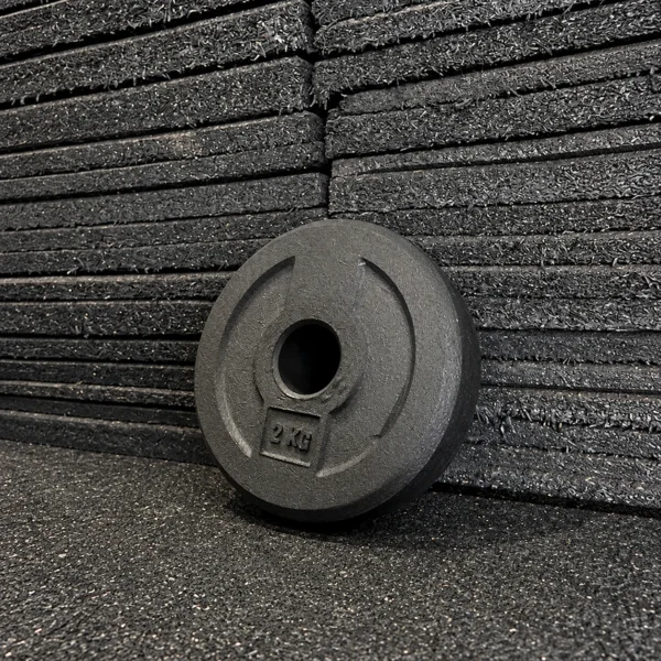 Ecofit Go — Anilha Mini Bumper Olímpica